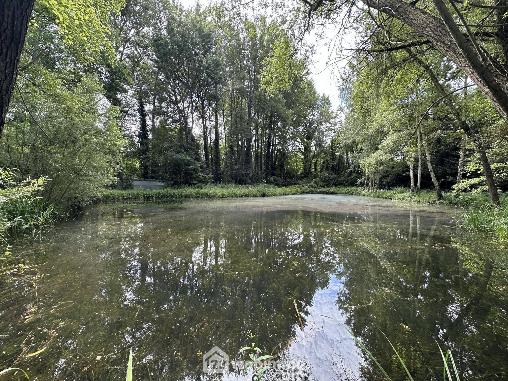 Photo Terrain de loisirs - 3900m² - Presles-et-Thierny image 4/4