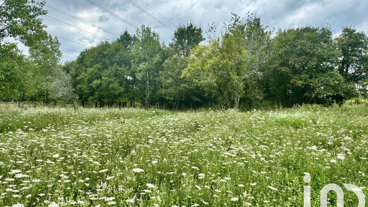 terrain  pièces 5600 m2 à vendre à Saint-Ciers-d'Abzac (33910)