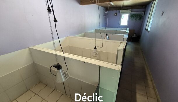 Villa / Maison 6 pièces  à vendre Salvetat-Belmontet (La) 82230