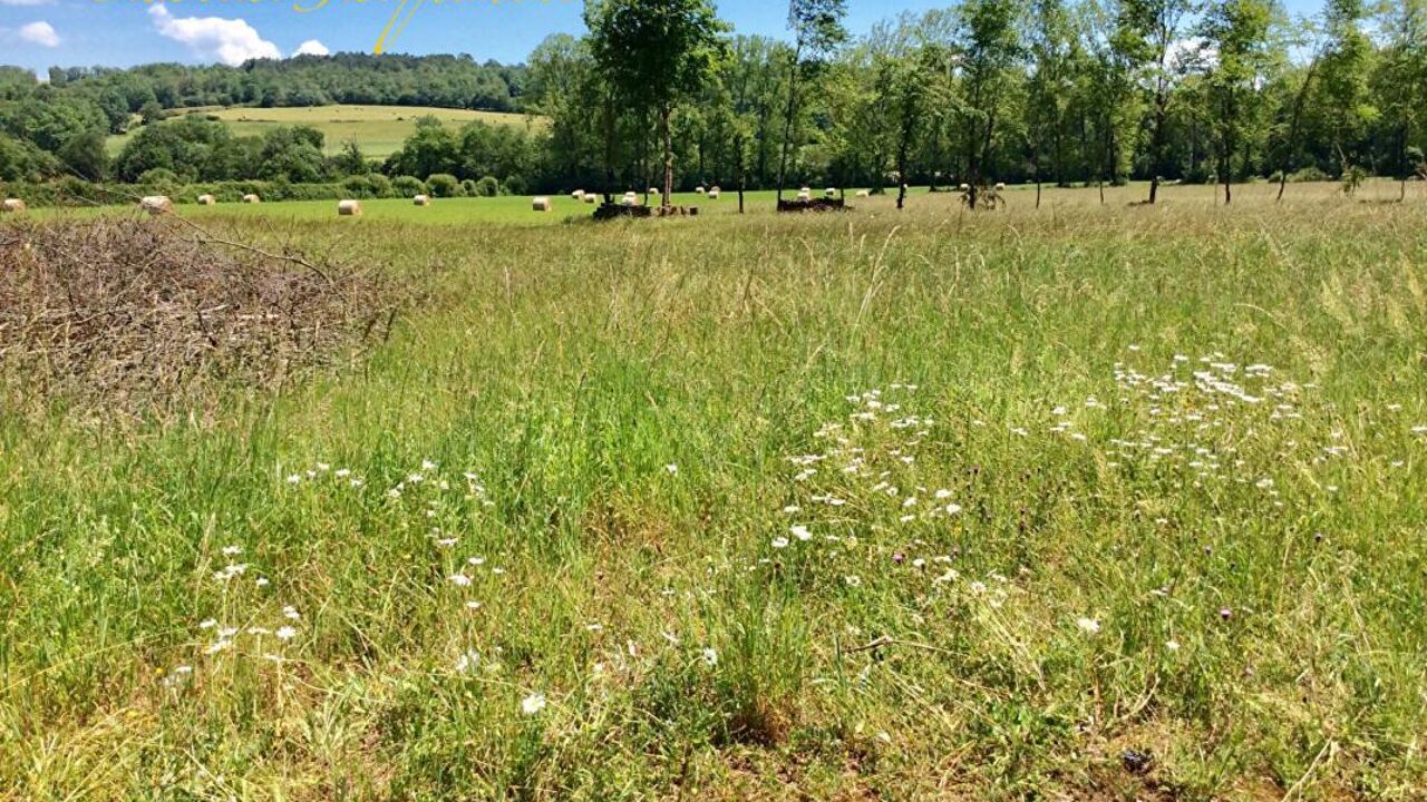 terrain  pièces 1435 m2 à vendre à Saint-Jean-de-Côle (24800)