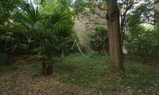Photo N° 6