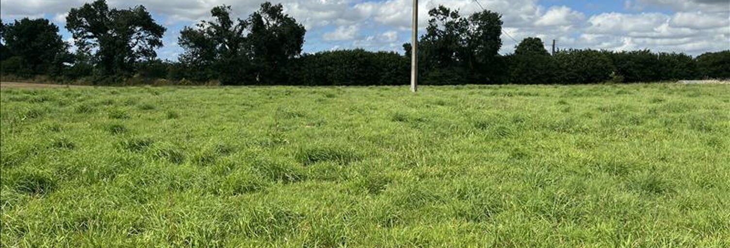 Terrain  6818 m² à vendre à Trébrivan (22340)