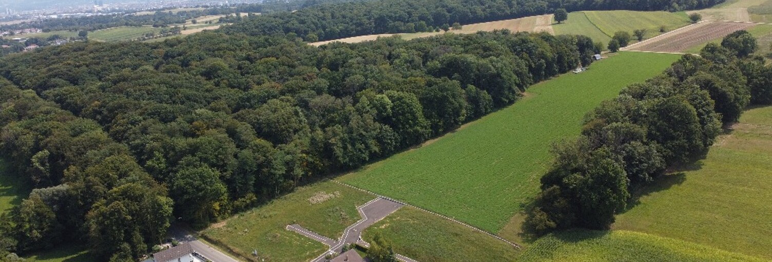 Terrain  683 m² à vendre à Wentzwiller (68220)