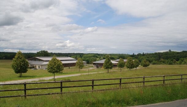 Terrain  à vendre Saumur 49400