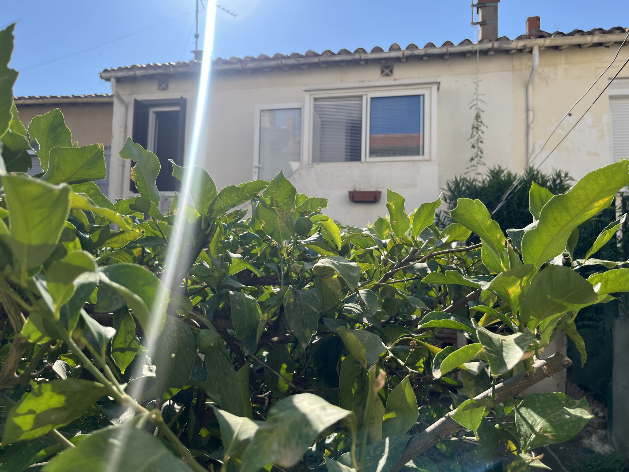 Villa / Maison 3 pièces  à vendre Perpignan 66000