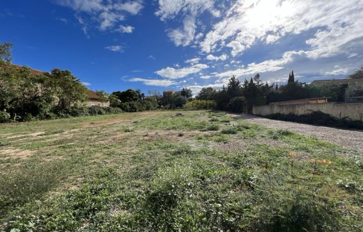 terrain  pièces 730 m2 à vendre à Ouveillan (11590)