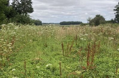 vente terrain 59 000 € à proximité de Boissy-le-Châtel (77169)