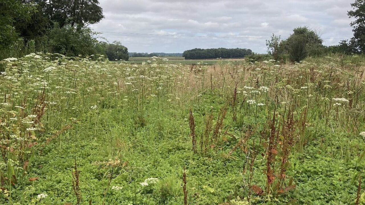 terrain  pièces 960 m2 à vendre à La Ferté-Gaucher (77320)