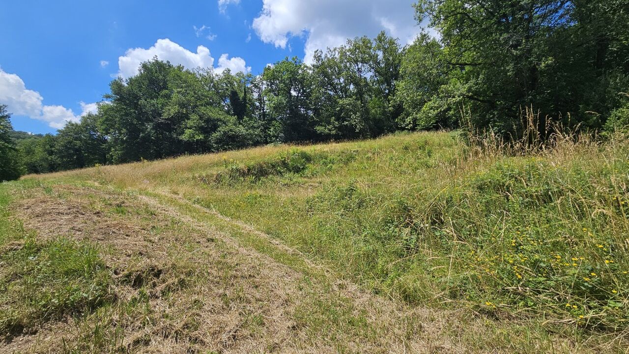 terrain  pièces 4450 m2 à vendre à Belcastel (12390)