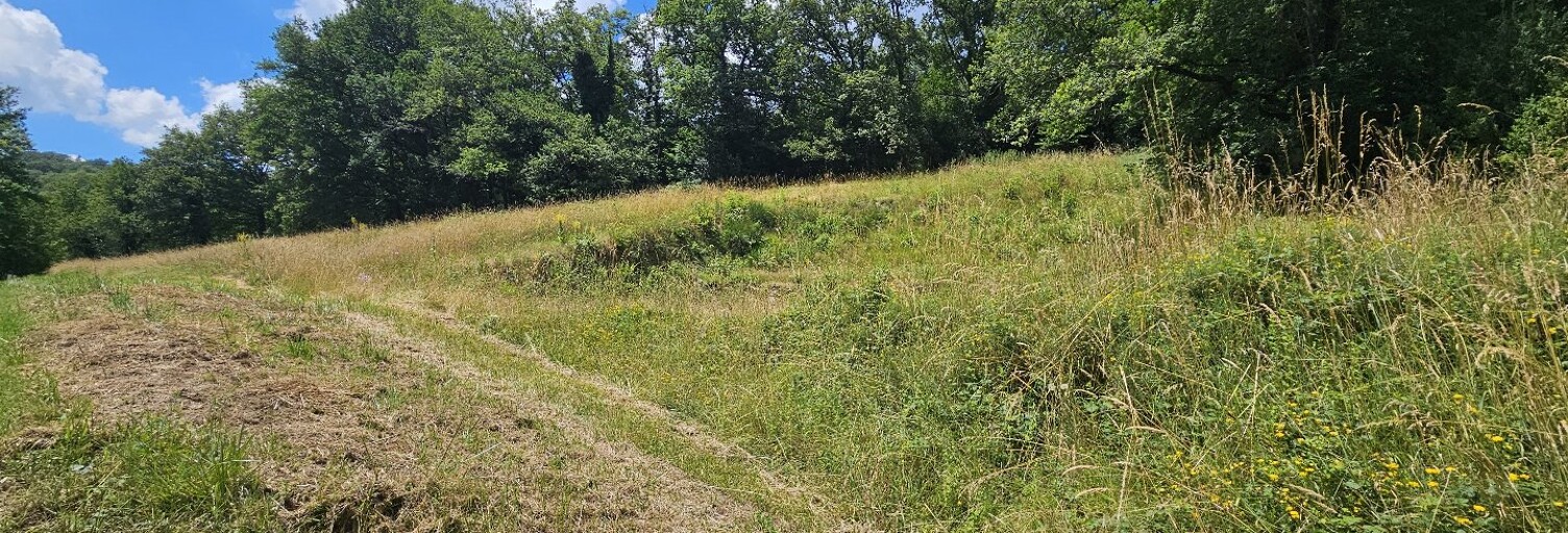 Terrain  4450 m² à vendre à Belcastel (12390)