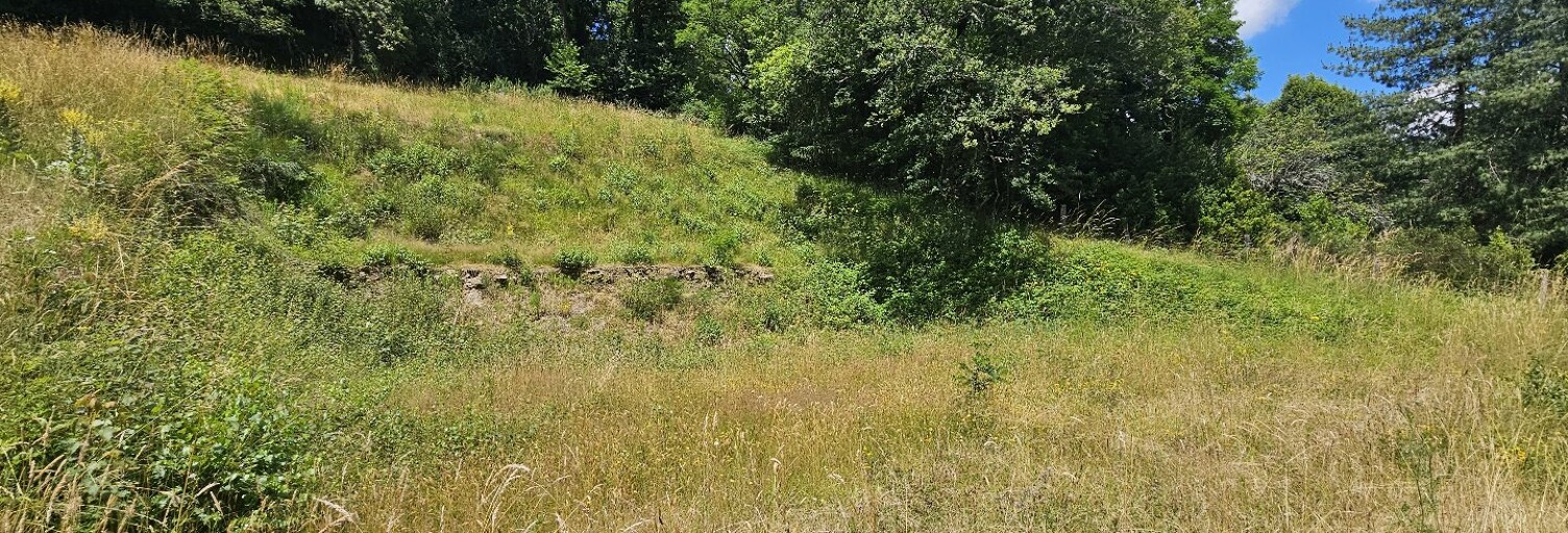 Terrain  2335 m² à vendre à Belcastel (12390)