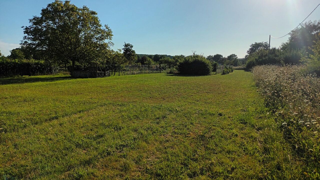 terrain  pièces 6000 m2 à vendre à Appoigny (89380)