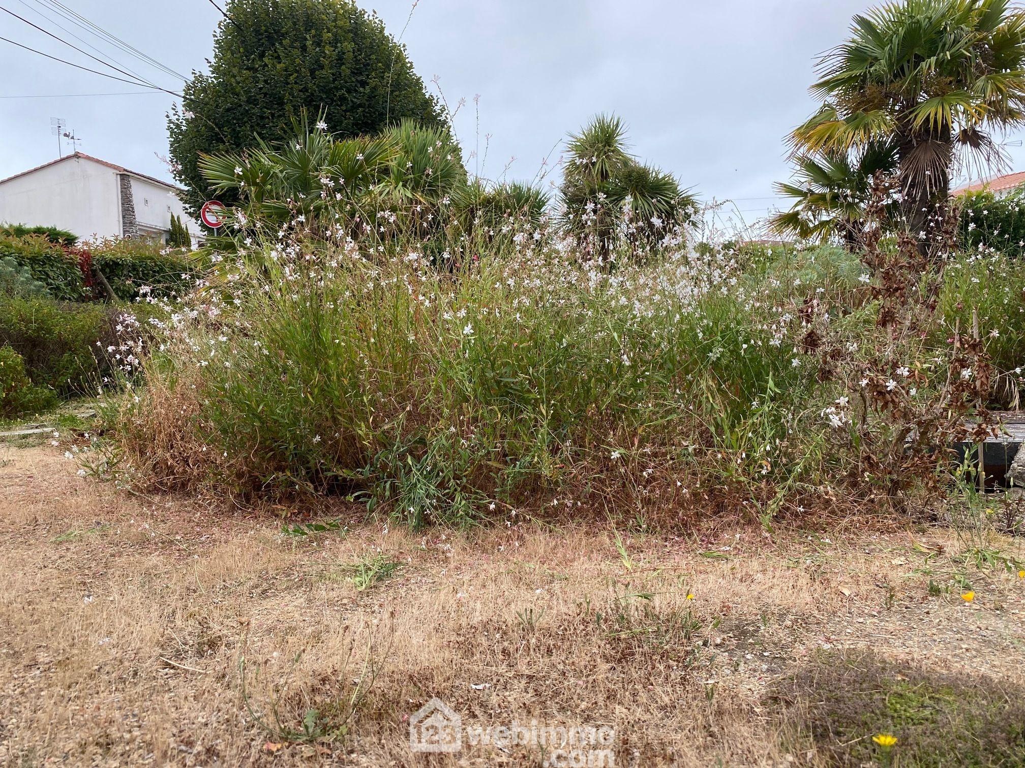 Photo Terrain constructible - 387m² - Jard-sur-Mer image 4/4