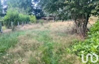 terrain  pièces 1380 m2 à vendre à Le Palais-sur-Vienne (87410)