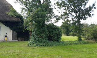 Photo N° 6