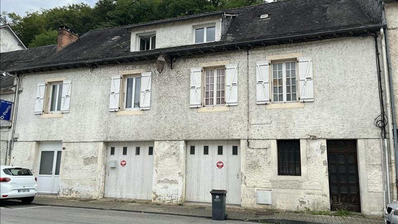 maison 8 pièces 251 m2 à vendre à Terrasson-Lavilledieu (24120)