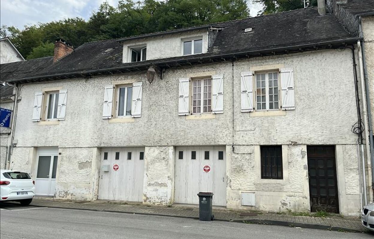 maison 8 pièces 251 m2 à vendre à Terrasson-Lavilledieu (24120)