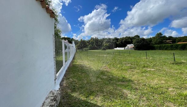 Terrain  à vendre Saint-Palais-sur-Mer 17420