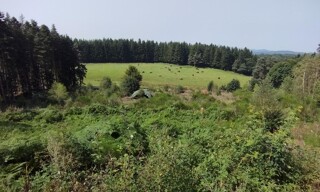 Terrain  11833 m² à vendre à Le Chambon-sur-Lignon (43400)