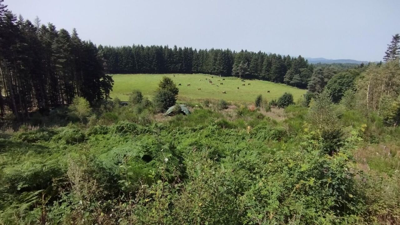 terrain  pièces 11833 m2 à vendre à Le Chambon-sur-Lignon (43400)