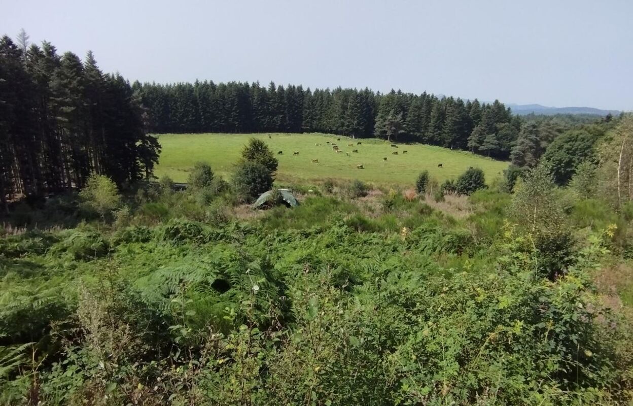 terrain  pièces 11833 m2 à vendre à Le Chambon-sur-Lignon (43400)