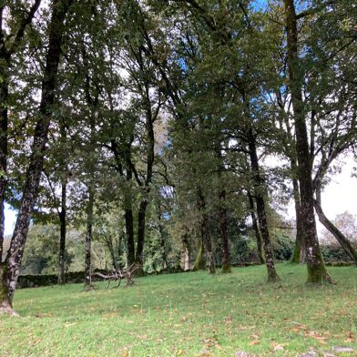 Terrain  24000 €