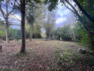 Terrain Barlieu — photo 3