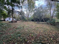 Terrain Barlieu — photo 4
