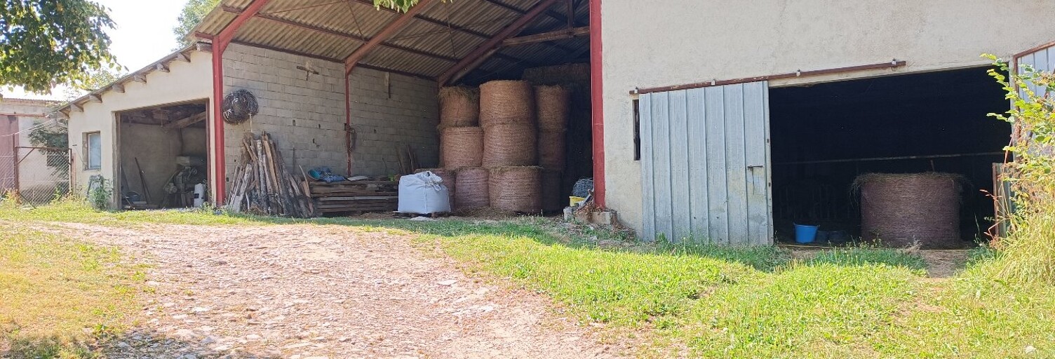 Maison 7 Pièces 168 m² à vendre à Sainte-Juliette-sur-Viaur (12120)