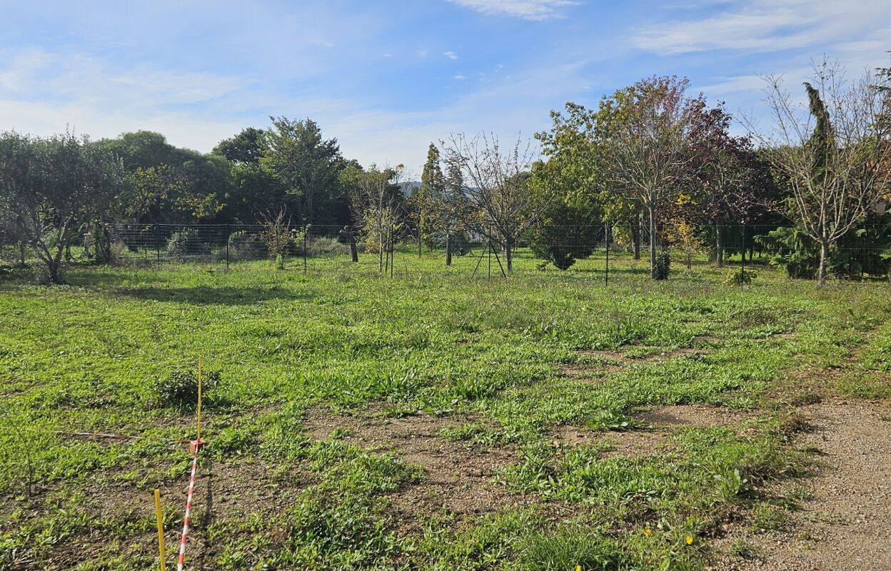 terrain  pièces 450 m2 à vendre à Thuir (66300)