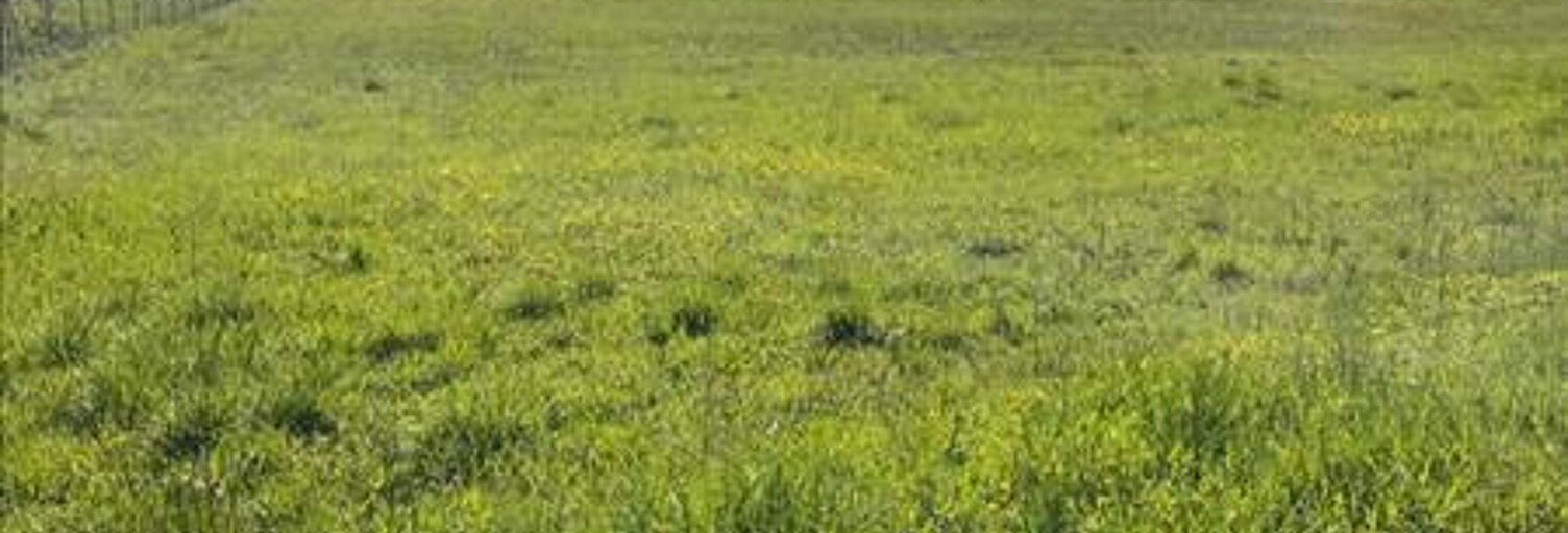 Terrain  1492 m² à vendre à Saint-Cirq (82300)