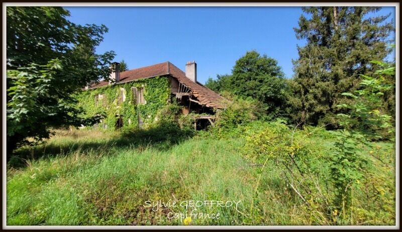 Terrain  à vendre Celles-sur-Plaine 88110