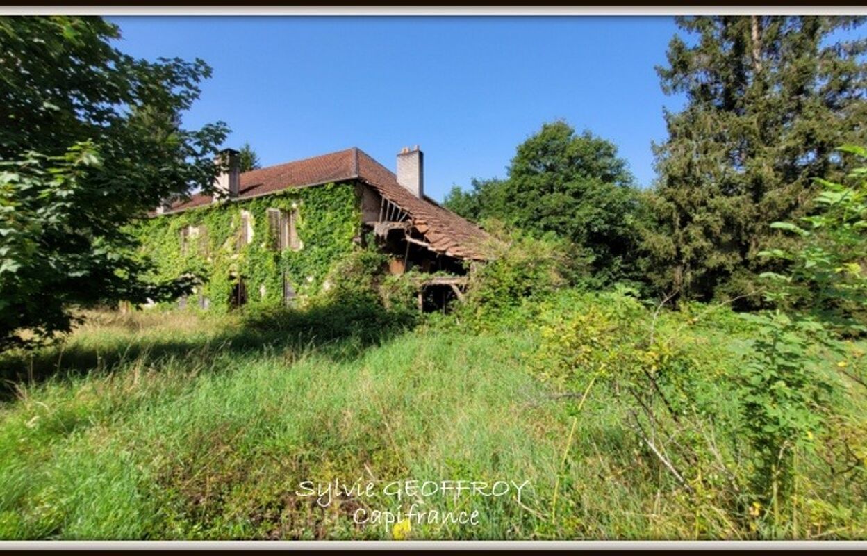 terrain  pièces 600 m2 à vendre à Celles-sur-Plaine (88110)