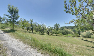 Photo N° 5