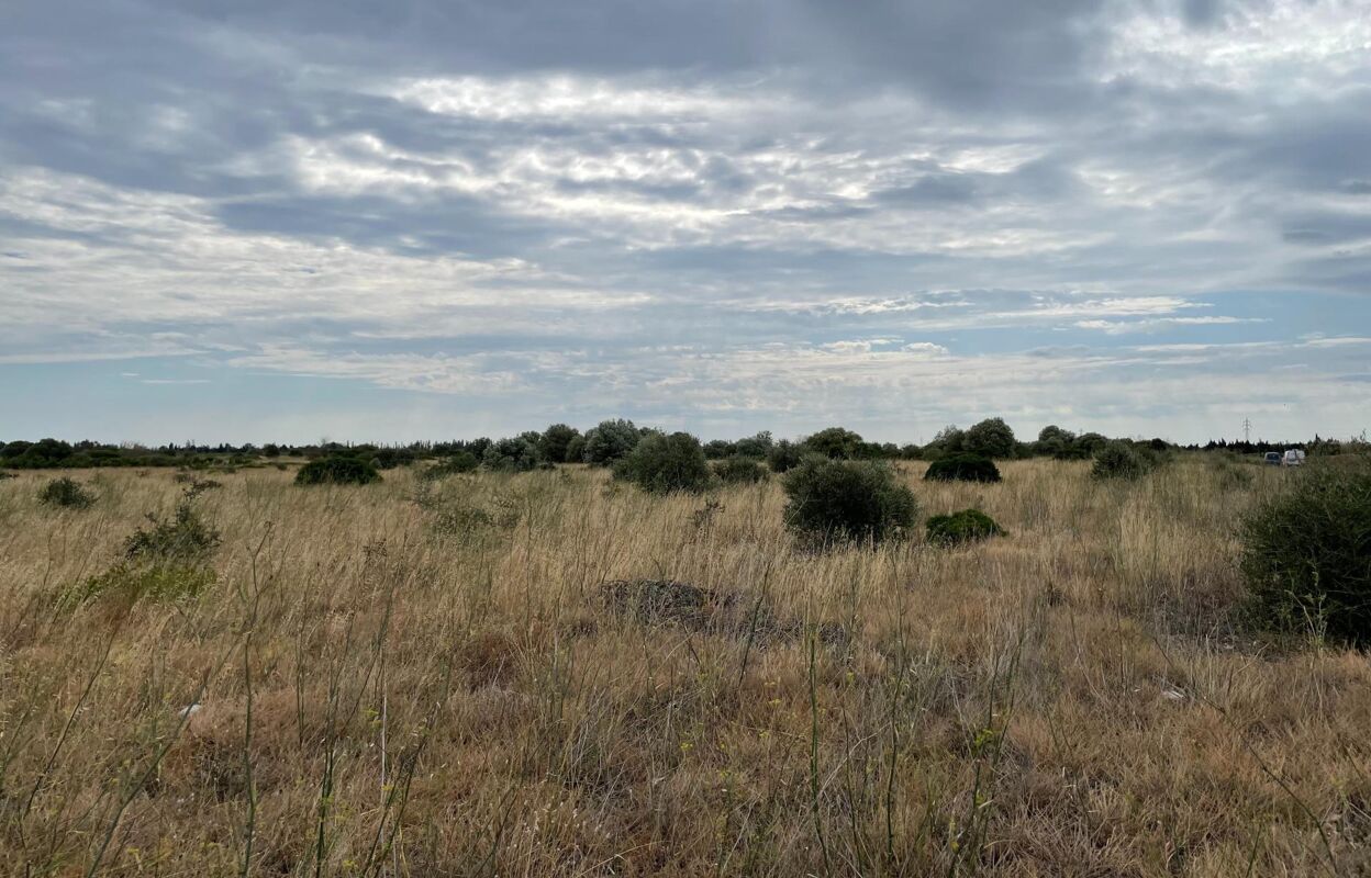 terrain  pièces 21115 m2 à vendre à Saint-Hippolyte (66510)