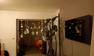 Photo N° 4