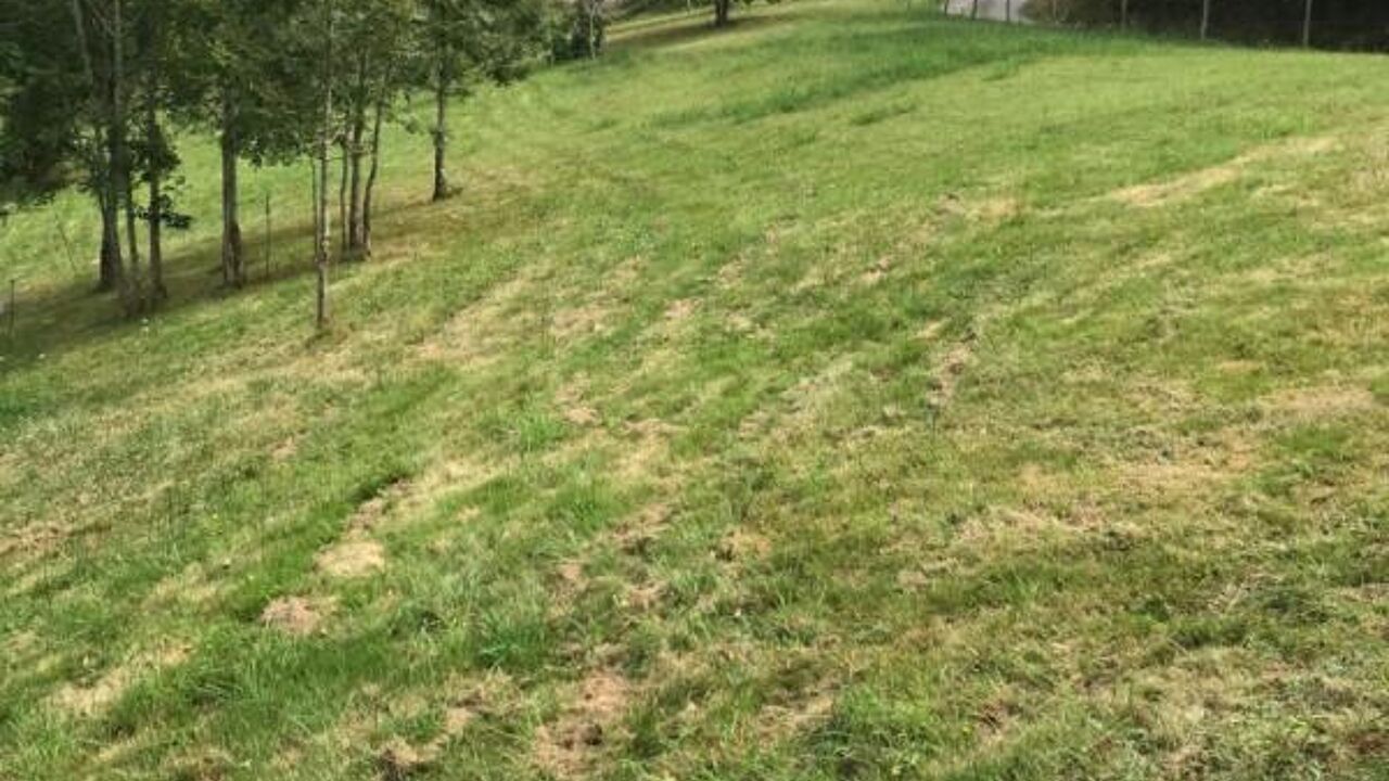 terrain  pièces 1538 m2 à vendre à Lasseube (64290)