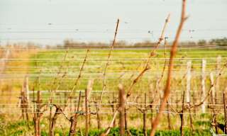 Maison 4 Pièces 920 m² à vendre à Sauveterre-de-Guyenne (33540)