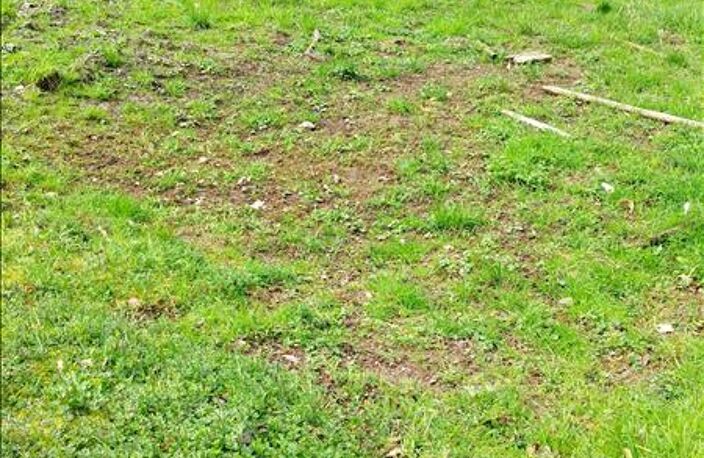 Terrain à bâtir de 0 pièces principales — photo 2