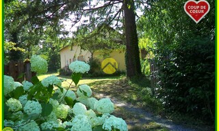 Photo N° 3