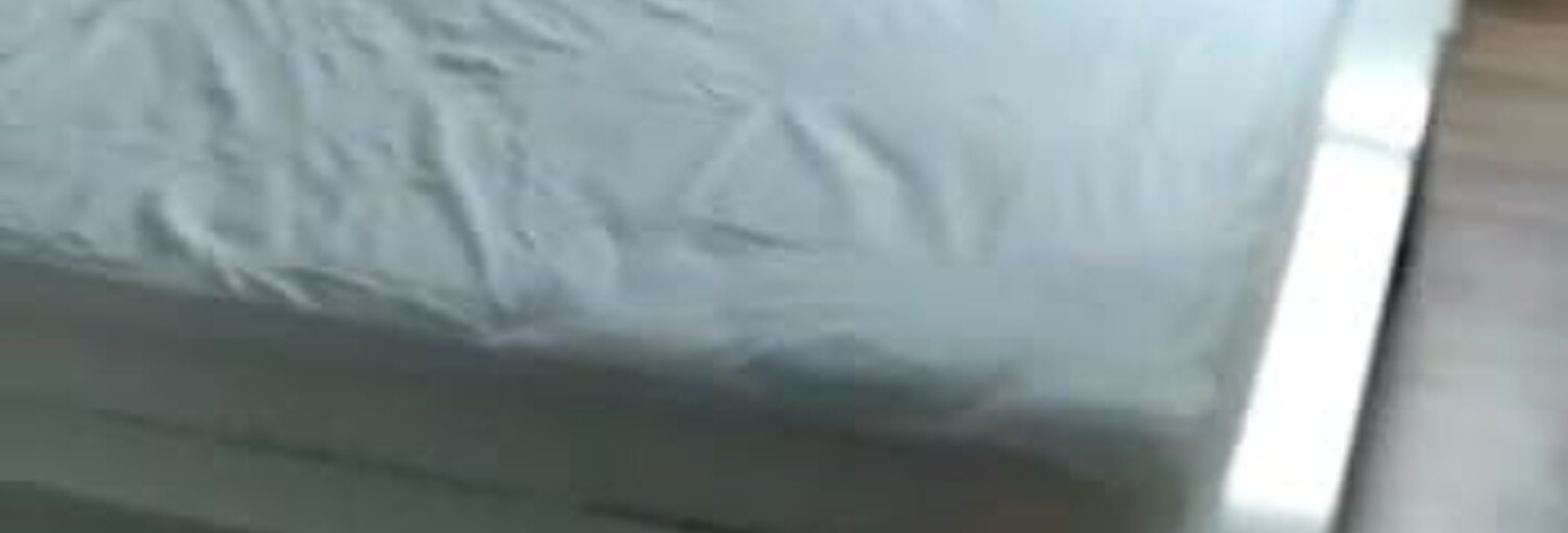 Appartement 3 Pièces 67 m² à louer à Blagnac (31700)