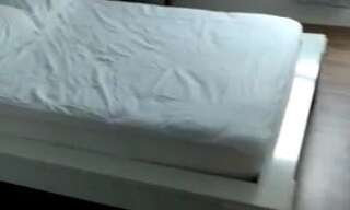 Appartement 3 Pièces 67 m² à louer à Blagnac (31700)