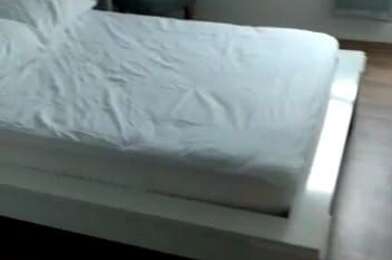 Appartement 3 pièces 1030 €