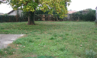 Photo N° 6