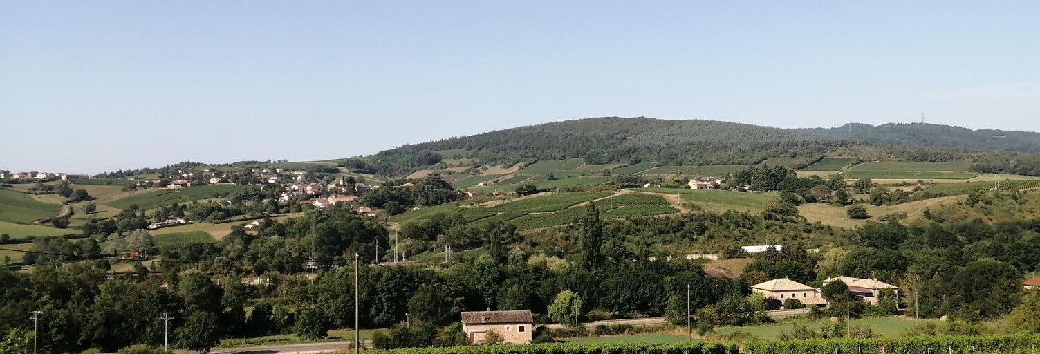 Terrain  3475 m² à vendre à La Roche-Vineuse (71960)