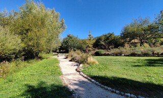 Photo N° 5