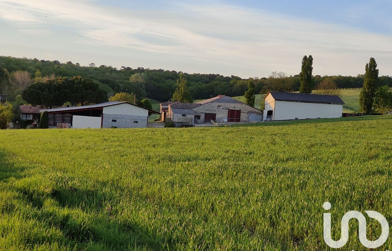 immeuble  pièces 1619 m2 à vendre à Saint-Vivien-de-Monségur (33580)