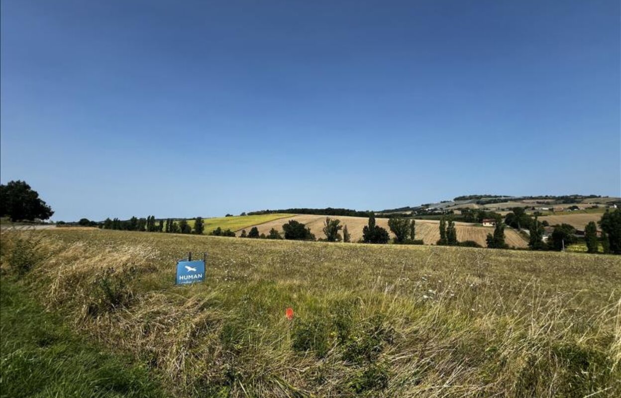 terrain  pièces 1452 m2 à vendre à Caussade (82300)