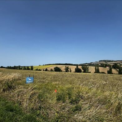 Terrain 1378 m²