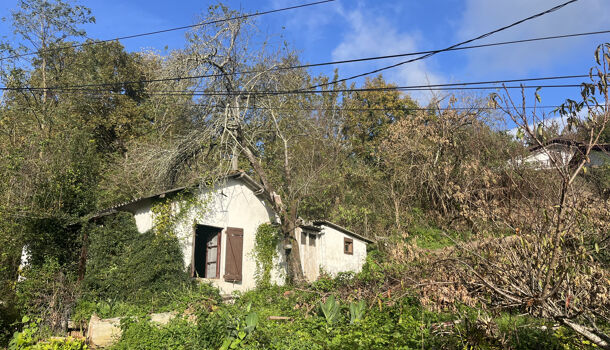 Terrain  à vendre Ispoure 64220